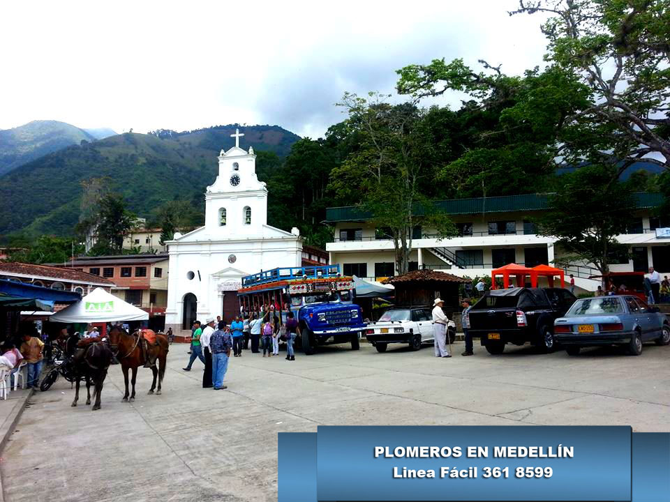 Plomeros en Heliconia Antioquia