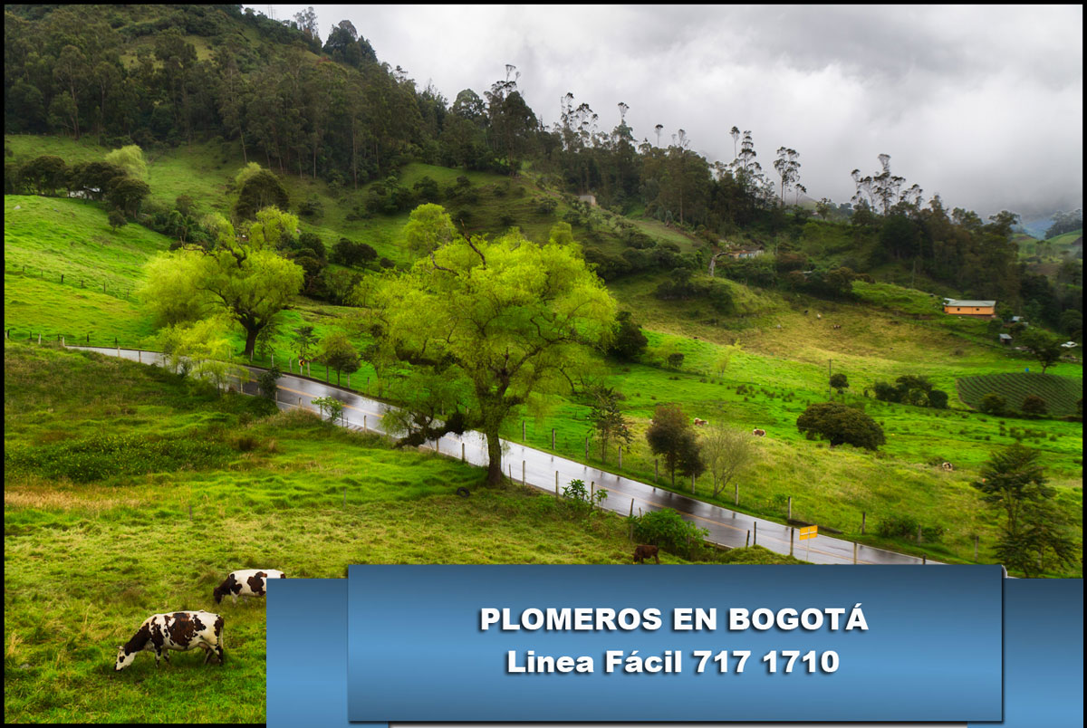 Plomeros en Choachí Cundinamarca